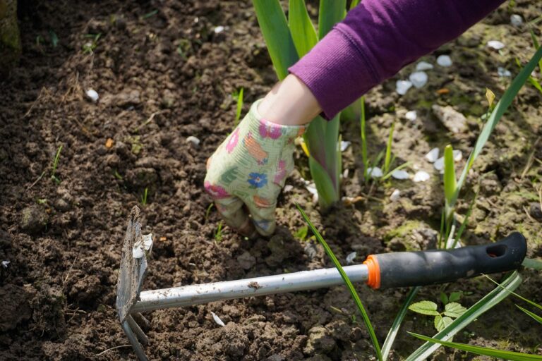 Weeding Tools